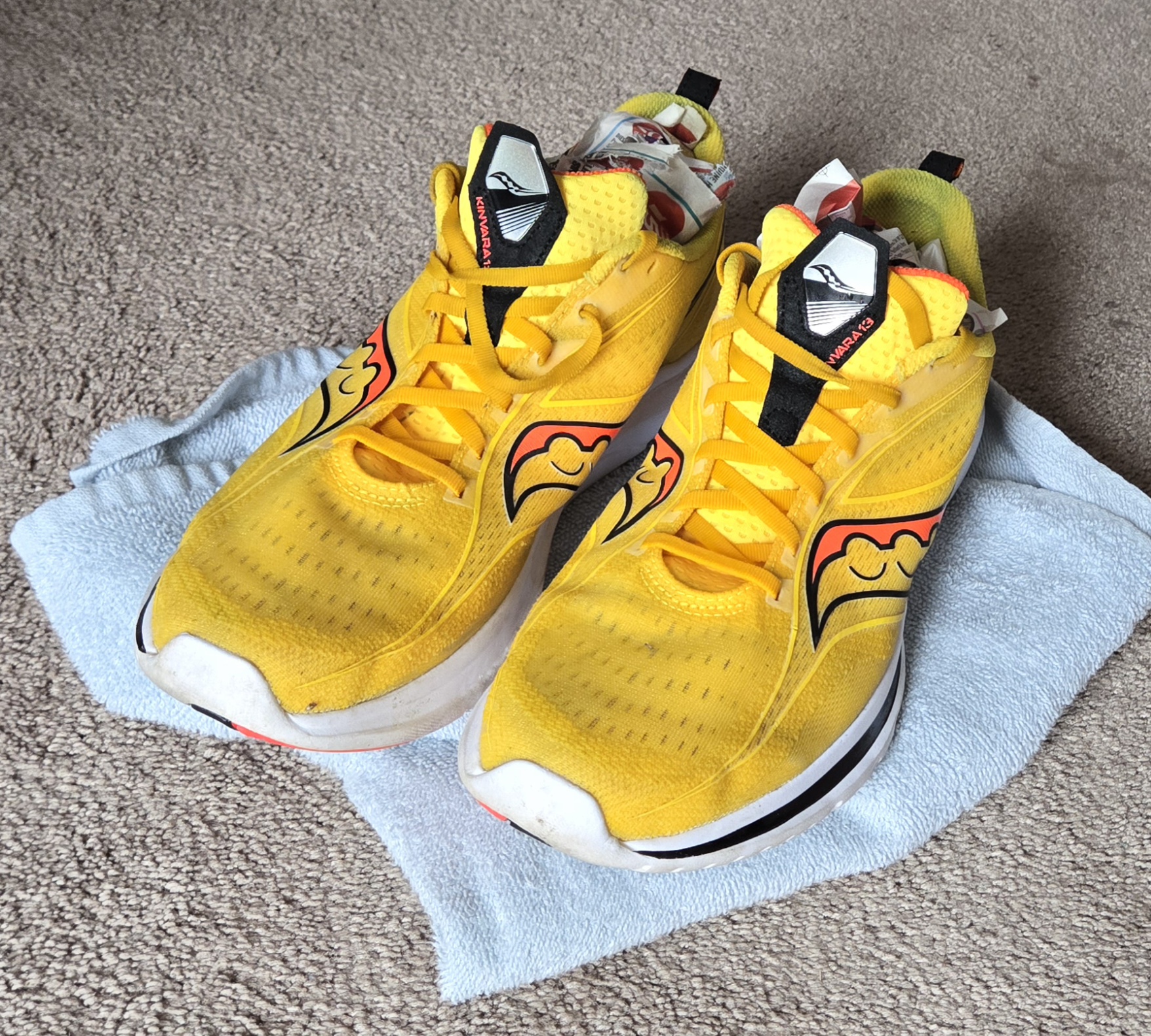 Airing the Shoes in a Warm Dry Place Airing the Shoes in a Warm Dry Place